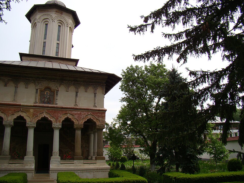 Nuci