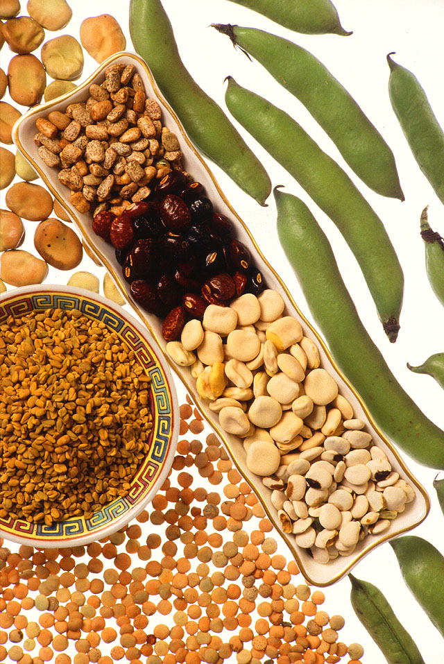 Legume