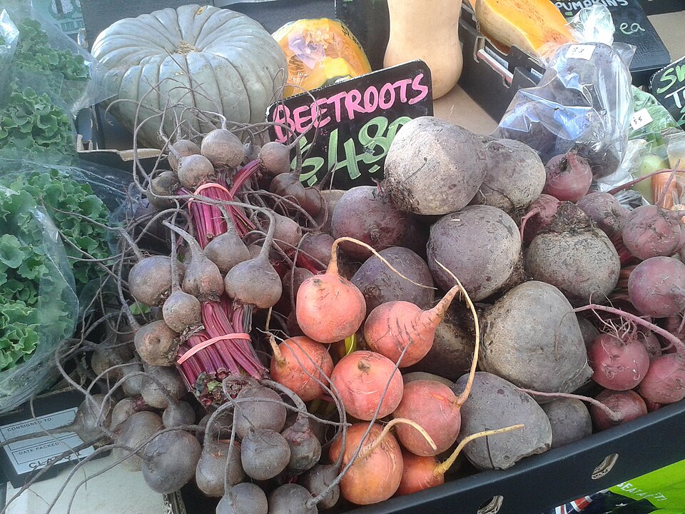 Sfeclă