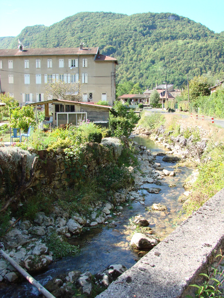 Căline