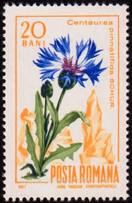Albăstrele