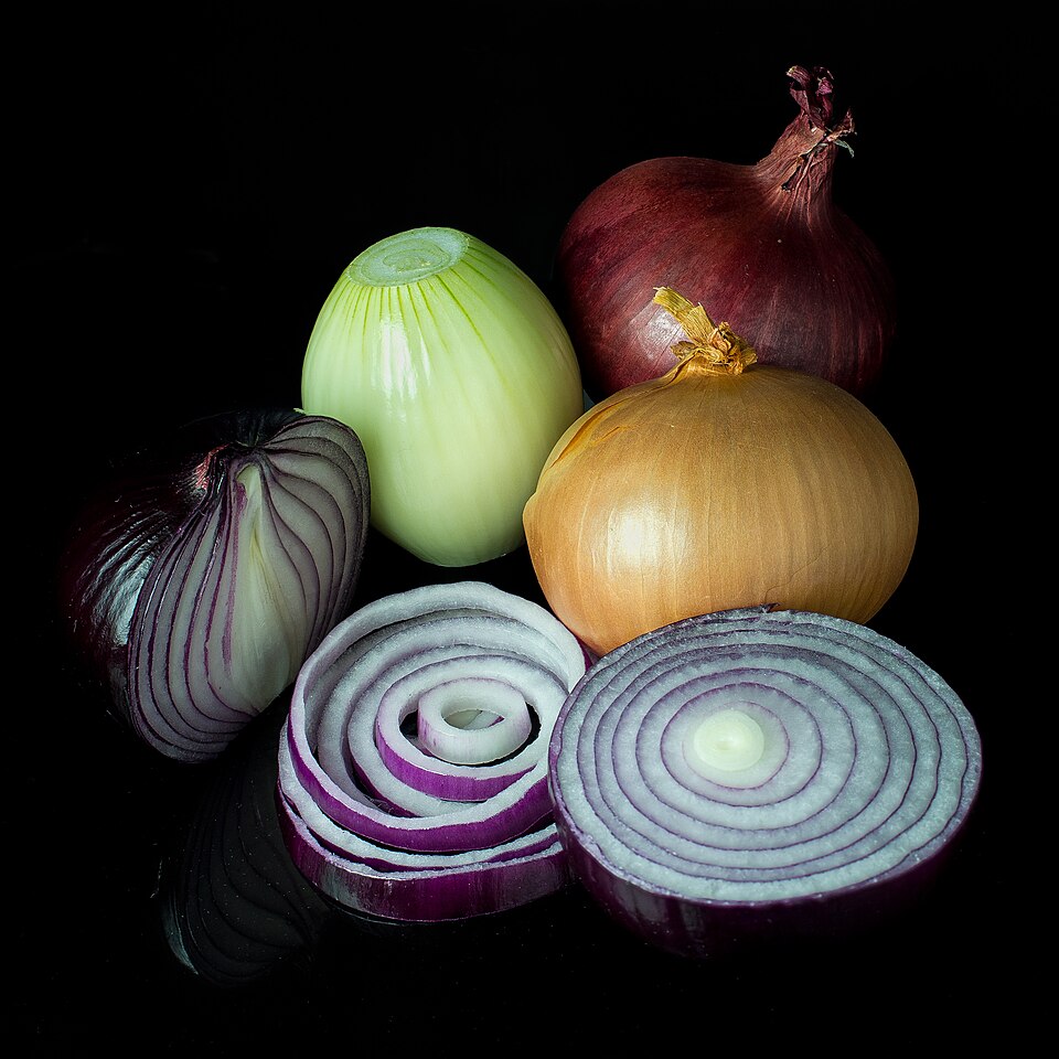 Ceapă — Allium cepa