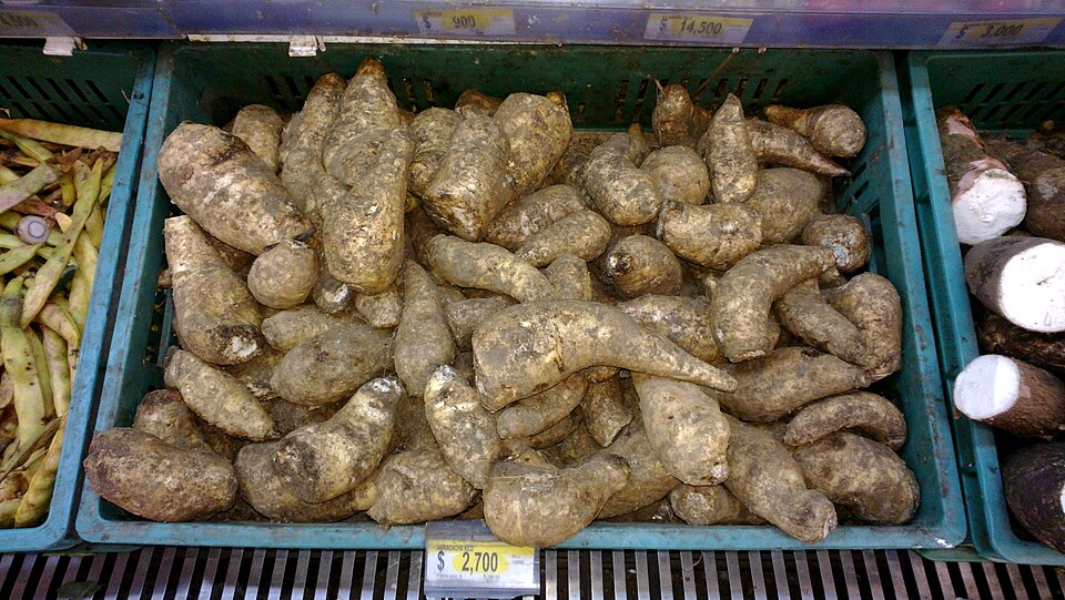 Păstârnac peruvian