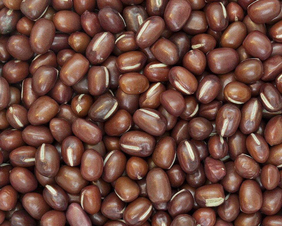 Fasole adzuki — Vigna angularis